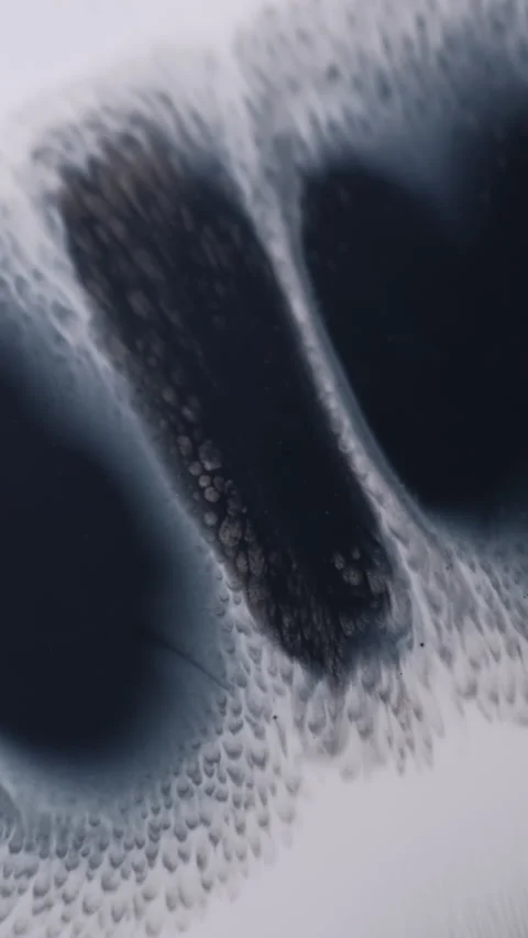 Vertical dirt splatter wet blob shapeless paint Stock Footage 312799024