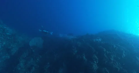 Vertical display shot of distant scuba diver swimming on deep wall in Solomon Stock Footage 61960835