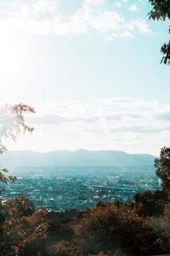 Vertical distant shot of a city view surrounded by trees under a clear sky 写真素材