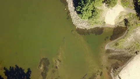 Vertical Down Shot of Shimmering River 스톡 동영상 79954862