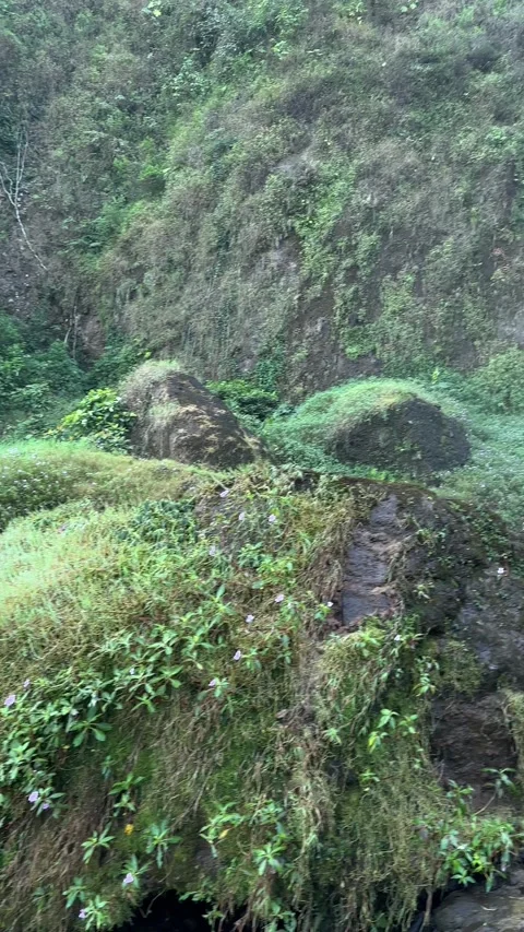 Vertical Downward Tilt to Waterfall in Green Mountain Forest Landscape Stock Footage 323909175