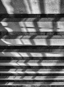 Vertical dramatic black and white architecture stairs with shado Stock Photos