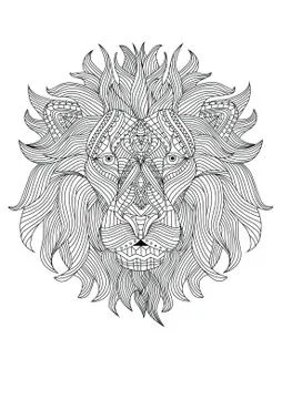 Vertical drawing of a loin's head with patterns and lines Stock Illustration