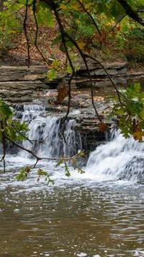 Vertical Dreamflow: Blurred Waterfall Framed by Foreground Branch Stock-Fotos