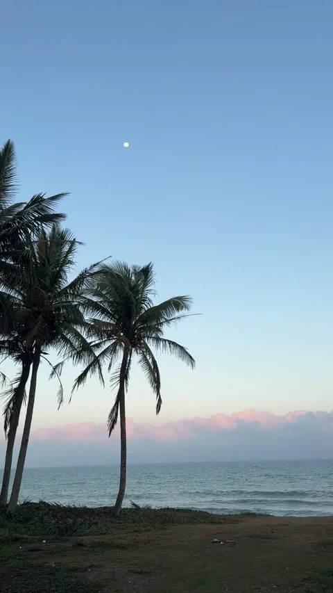 Vertical Dreamy Sunset Glow over Sea with Distant Moon 4K Stock Footage 331972667