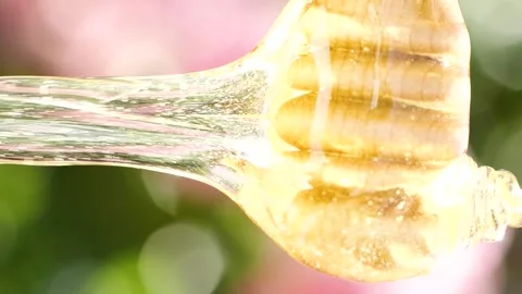 Vertical dripping and pouring natural honey from wooden dripper over pink flower Stockbeeldmateriaal 233145369
