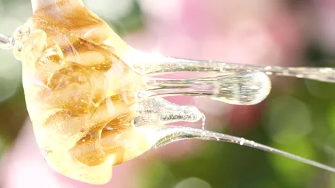 Vertical dripping and pouring natural honey from wooden dripper over pink flower Stockbeeldmateriaal 244694473
