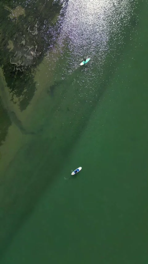 Vertical Drone aerial Two Latin Women Paddle Surfing on River on Sunny Summ.. Stock Footage 271100652