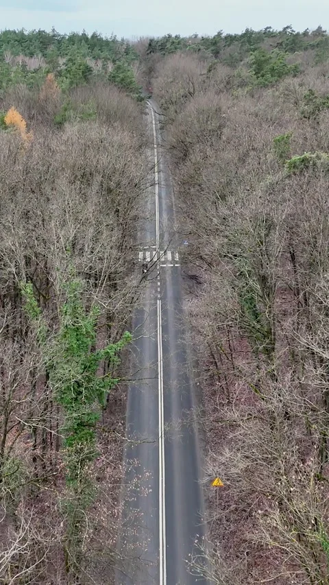 Vertical Drone Aerial View of Car and Motorbike Driving on Forest Road Stock Footage 323877893