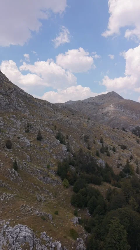 Vertical Drone Aerial View Flying Over Rocky Mountain Slope and Forest  Vídeos de archivo 343674999