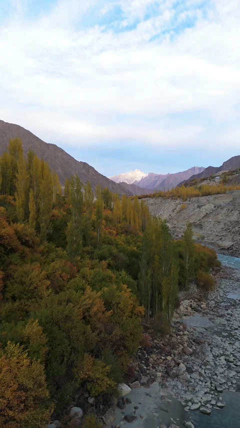 Vertical drone capture of water flow through orange forests. Stock Footage 310661689