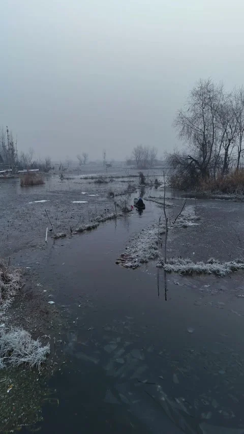 Vertical drone captures snow flying as boatmen break through the icy Dal Lake Stock Footage 311020390