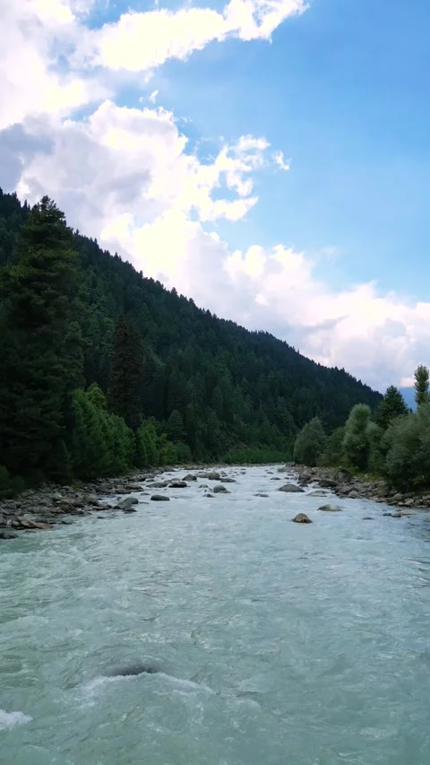 Vertical drone capturing a river snaking through Pahalgam valley. Stock Footage 310806490