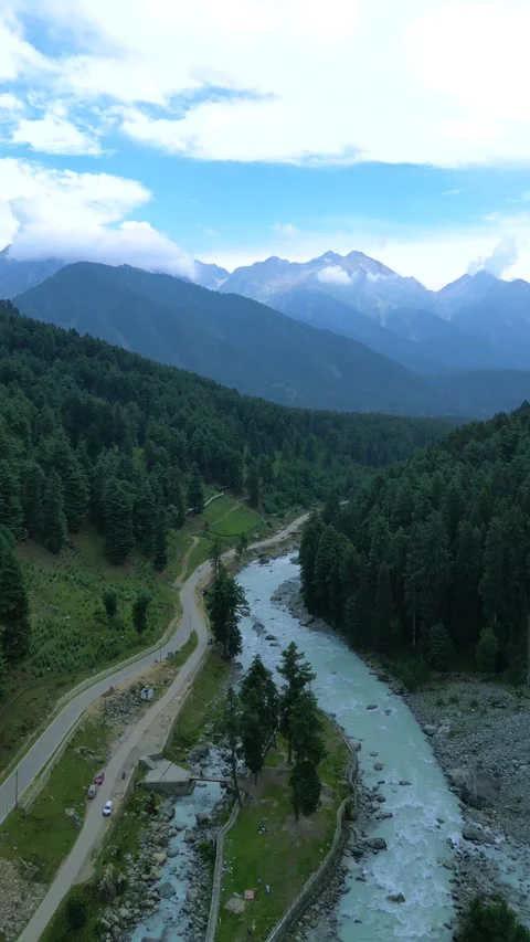 Vertical drone capturing still rivers running past pine ridges. Stock Footage 310806542