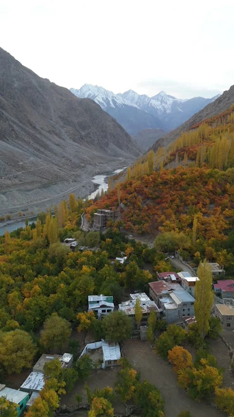 Vertical drone clip showcasing golden foliage on mountain slopes. Stock Footage 310661787