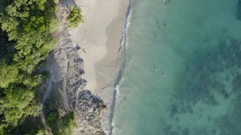 Vertical Drone Flight Along Sainte-Luce Beach Shoreline – Martinique Stock Footage 317646896