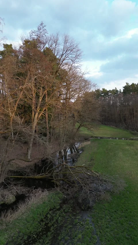 Vertical Drone Flight Along Wetland and Forest Edge in Bavaria, Germany Stock Footage 340615442