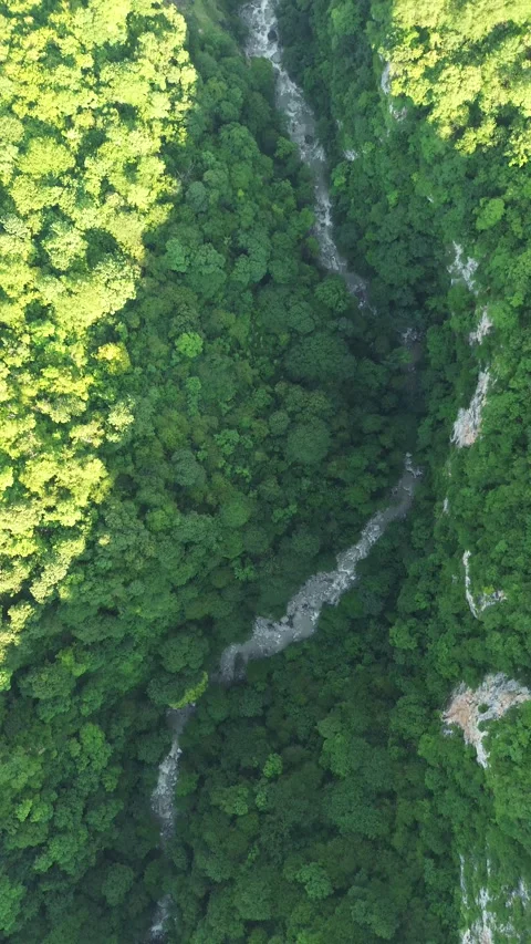 Vertical Drone Flight Following Okatse River Through the Canyon, Georgia Stock Footage 339360275