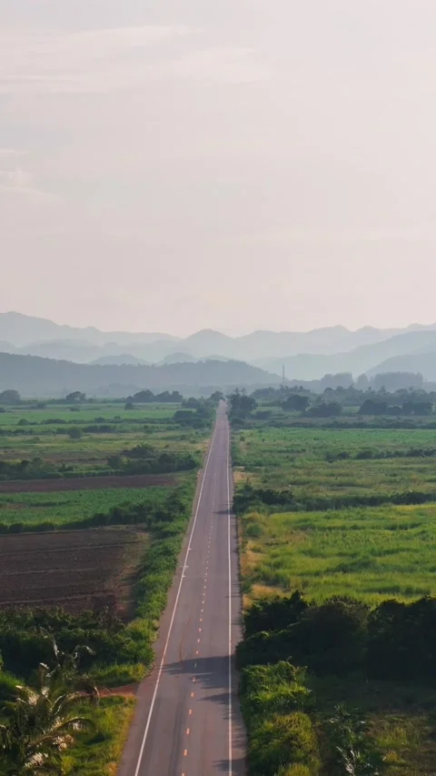 Vertical Drone Flight Over Tropical empty Road Through Vast Green Fields and Stock Footage 318722037