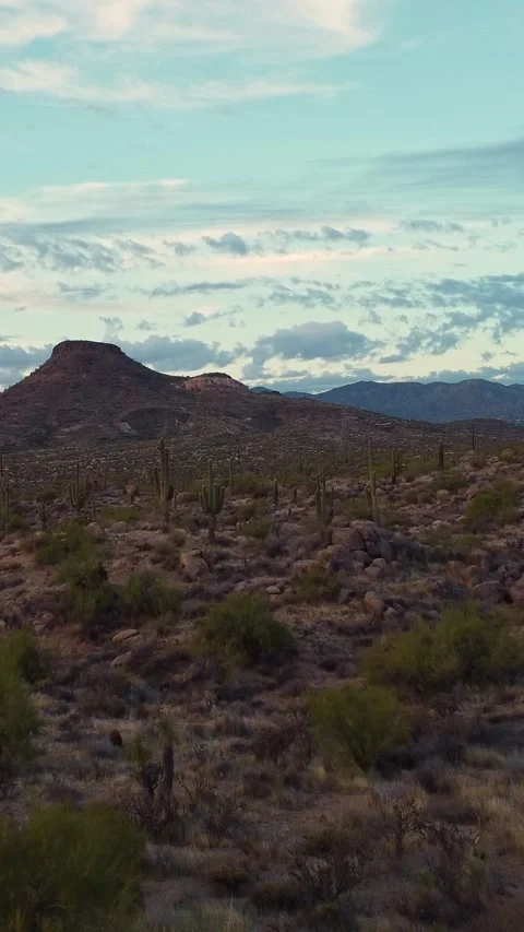 Vertical Drone Fly Over Footage Of Sonoran Desert Landscape Near Phoenix AZ Stock Footage 344699915