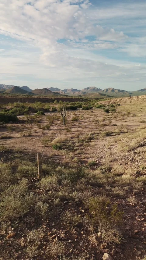 Vertical Drone Fly Over Of Very Dry Sonoran Desert From Extreme Heat Stock Footage 344766957