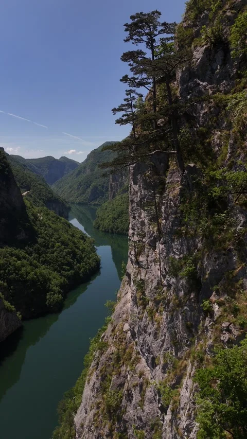 Vertical Drone Flyby Under Tree Branches to Reveal Deep River Canyon, 4K Stock-Footage 337180810