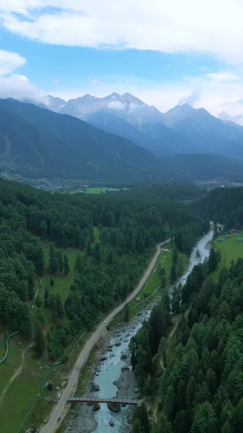 Vertical drone flying beside herds crossing a mountain stream. Stock Footage 310806580