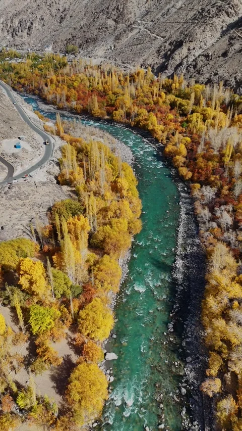 Vertical drone flying between fiery yellow trees and clear river in Kargil. Stock Footage 310664705