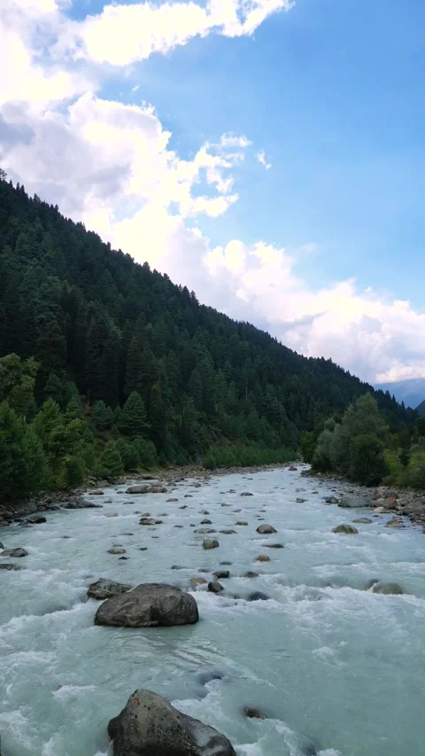 Vertical drone flying over a calm river in the heart of Pahalgam. 動画素材 310806518