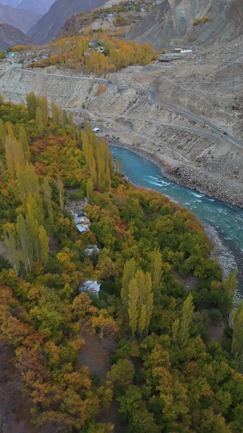 Vertical Drone flyover of a pristine river winding through autumn landscapes. Stock Footage 310661479