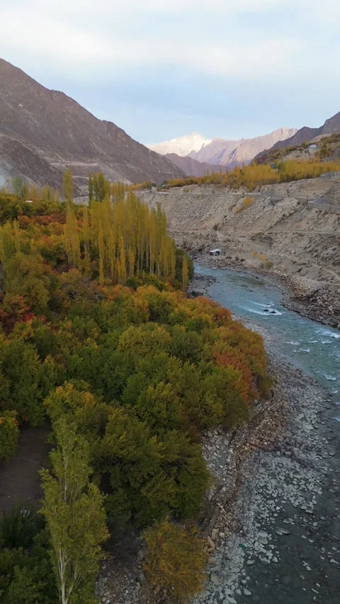 Vertical drone footage of a calm river reflecting autumn hues. Stock Footage 310661572