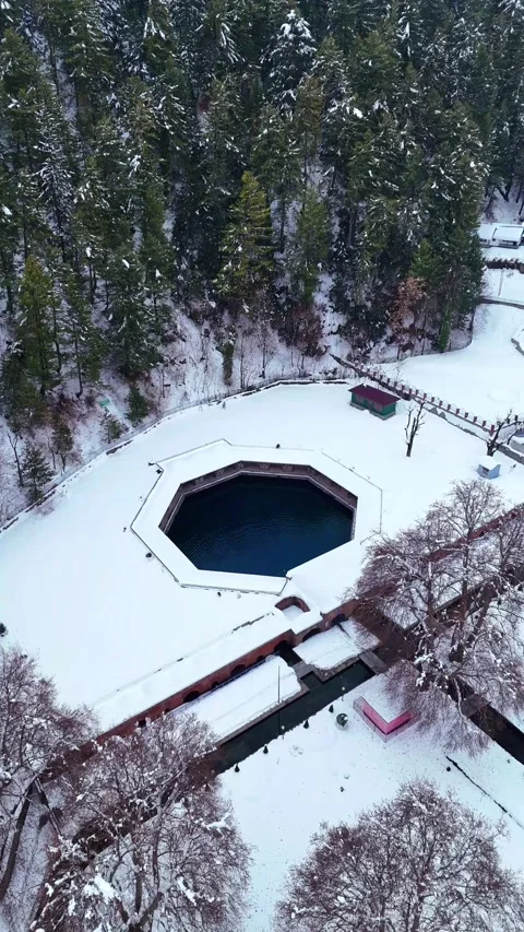 Vertical drone footage capturing bare-branched trees framing the historic Stock Footage 311129147