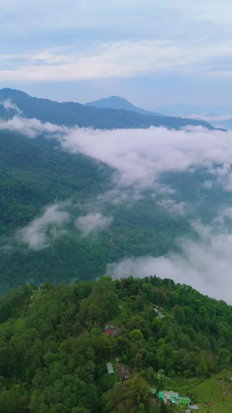 Vertical Drone footage capturing clouds floating over the vibrant green Stock Footage 311370935