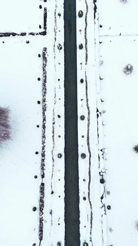 Vertical drone footage capturing the raw winter beauty of Verinag Park with Stock Footage 311129000