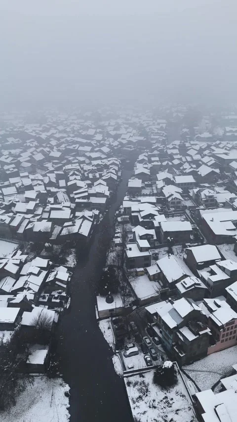 Vertical drone footage capturing a unique winter pattern of canals and snowy Stock Footage 311021523