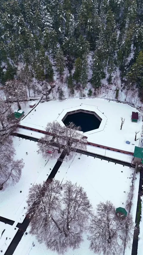 Vertical drone footage capturing Verinag Park’s winter geometry of leafless Stock Footage 311128857