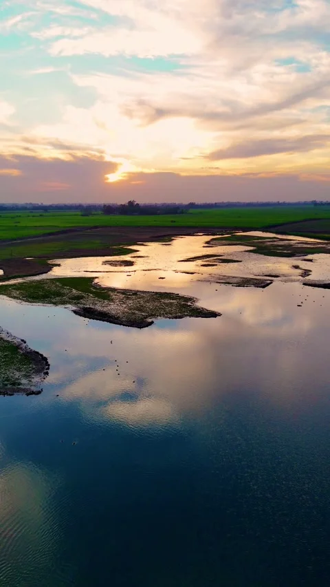 Vertical Drone footage capturing the warm embrace of sunset over green wetlands. Stock Footage 310936839