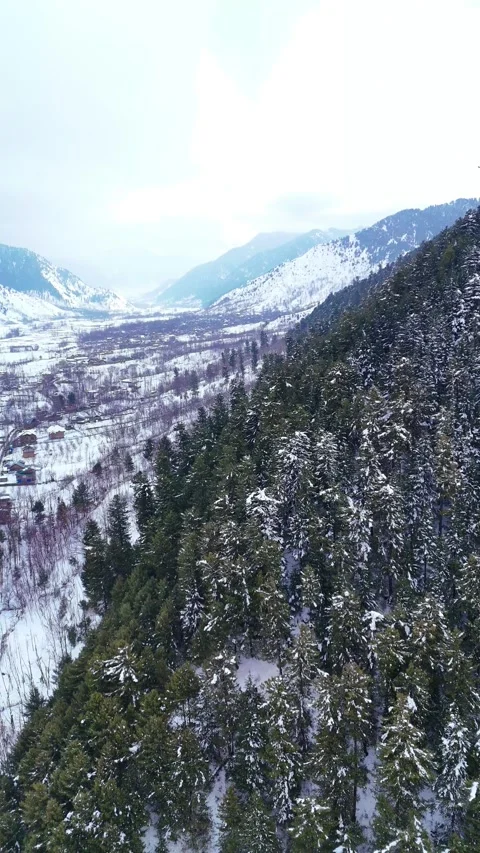Vertical drone footage contrasting with stark winter trees in Verinag Park. Stock Footage 311129097