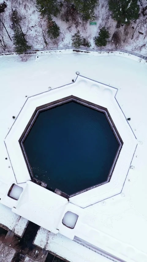 Vertical drone footage featuring a sweeping arc shot around Verinag spring Stock Footage 311128740