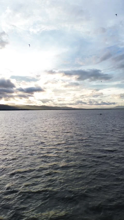 Vertical Drone Footage Flight Over the Lake Stock Footage 263455411