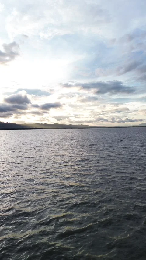 Vertical Drone Footage Flight Over the Lake Video stock 263458748
