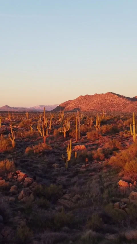 Vertical Drone Footage Of Fly-Over Of AZ Sonoran Desert Landscape Sunset Time Stock Footage 343878323