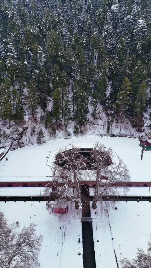 Vertical drone footage highlighting the contrast between Verinag spring’s Stock Footage 311128769