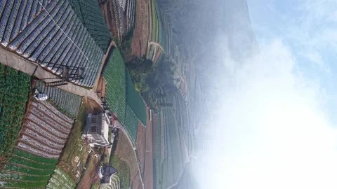 Vertical Drone footage of hillside vegetable garden terraces, mountain mist in Stock Footage 345293597