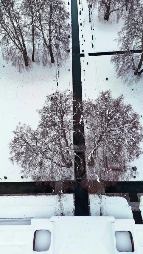 Vertical drone footage offering a faraway view of Verinag spring harmoniously Stock Footage 311128906