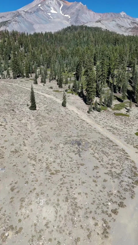Vertical drone footage of pine forest and mountain peak in daylight. Video stock 321932507