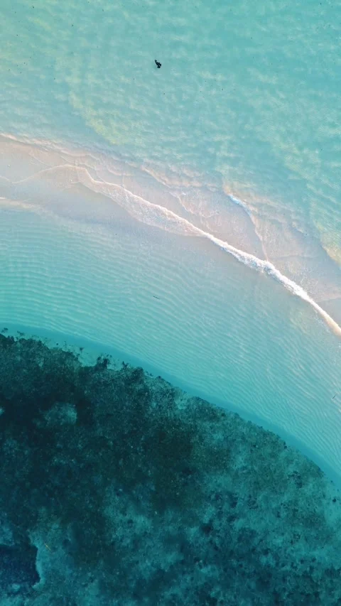 Vertical Drone Footage of the Sandy Beach with Turquoise Water Stock Footage 272714997