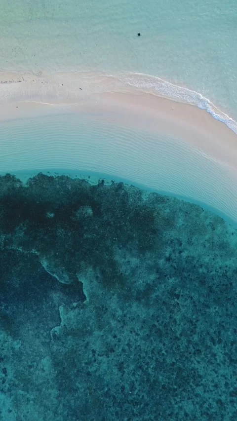 Vertical Drone Footage of the Sandy Beach with Turquoise Water Stock-Footage 272715038