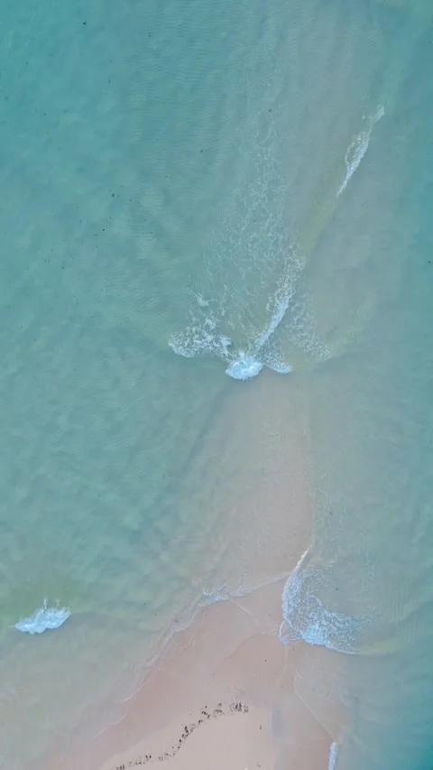 Vertical Drone Footage of the Sandy Beach with Turquoise Water Stock-Footage 272715268