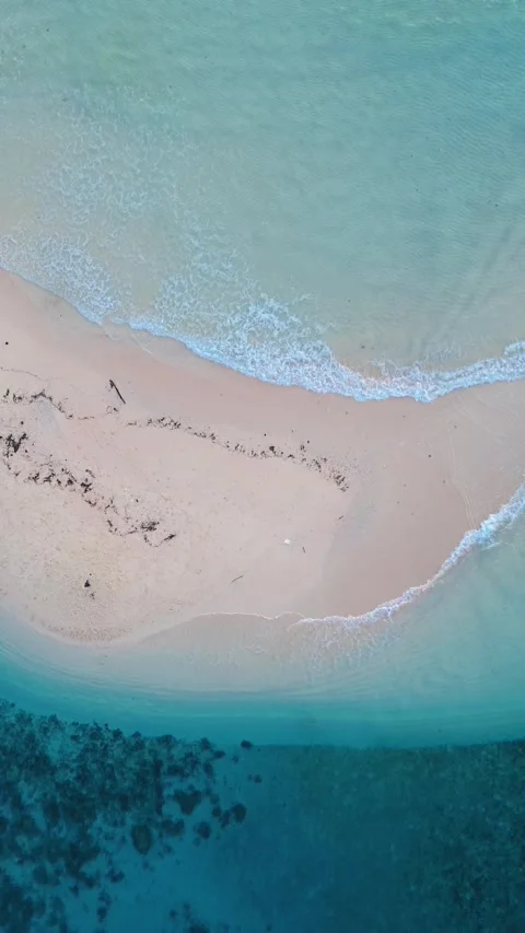 Vertical Drone Footage of the Sandy Beach with Turquoise Water Stock Footage 272715670